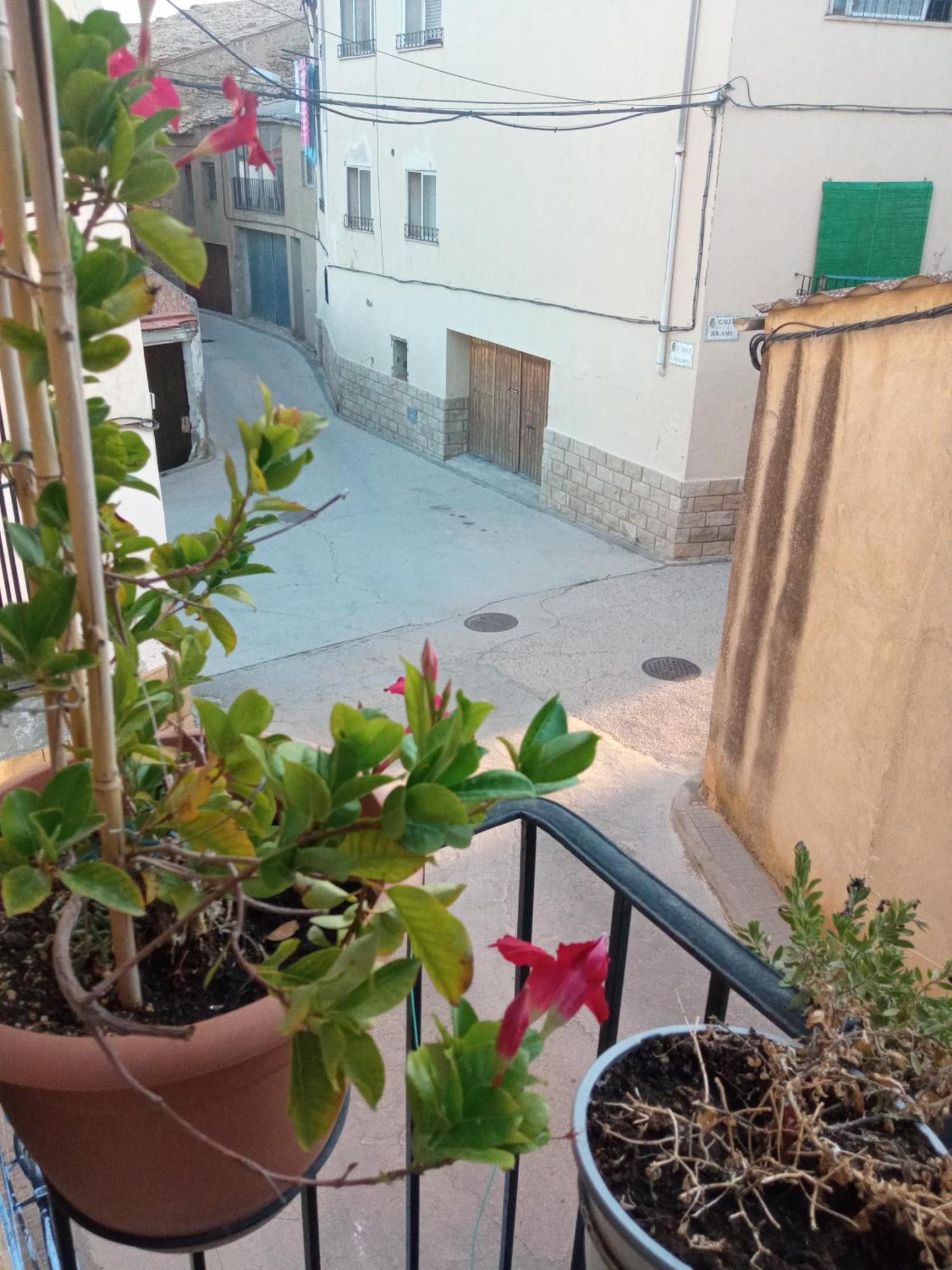 شقة Musas Gastro Casa Rural Valdealgorfa المظهر الخارجي الصورة